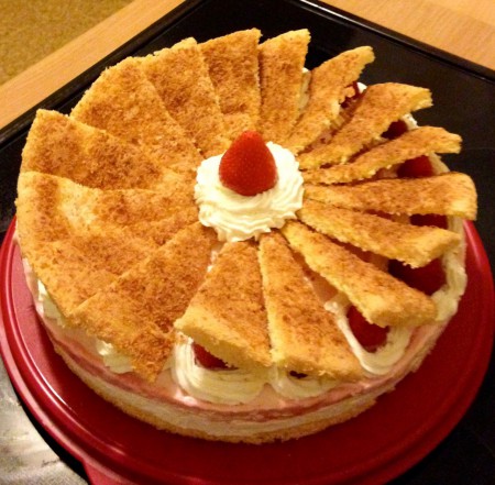 Fächertorte - Biskuitboden, Erdbeer-Joghurt-Creme, Schlagsahnetupfen, Biskuit mit Kokosstreußel in Ecken geschnitten